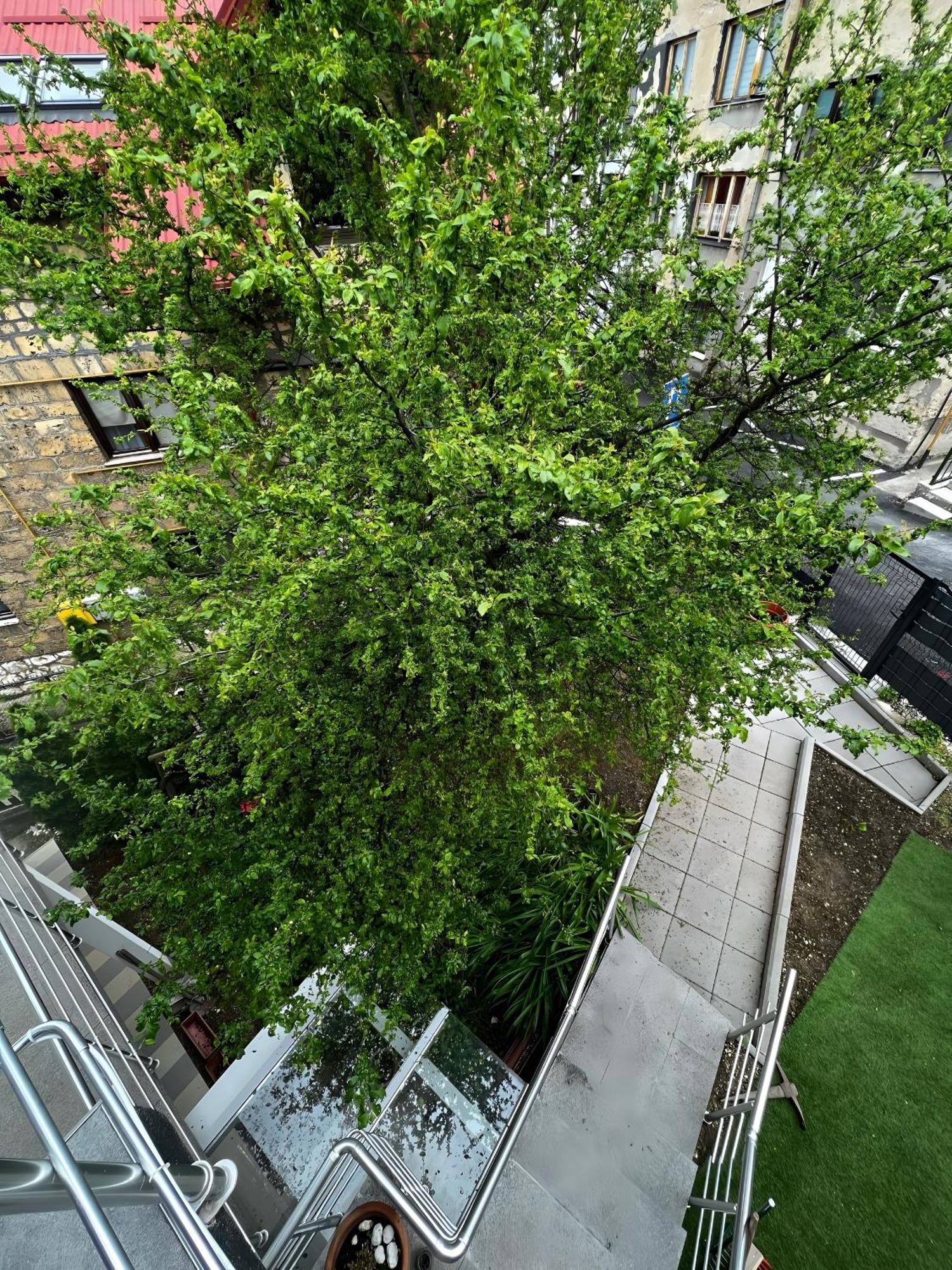 No1 Lux Apartment In Heart Of Σαράγεβο Εξωτερικό φωτογραφία